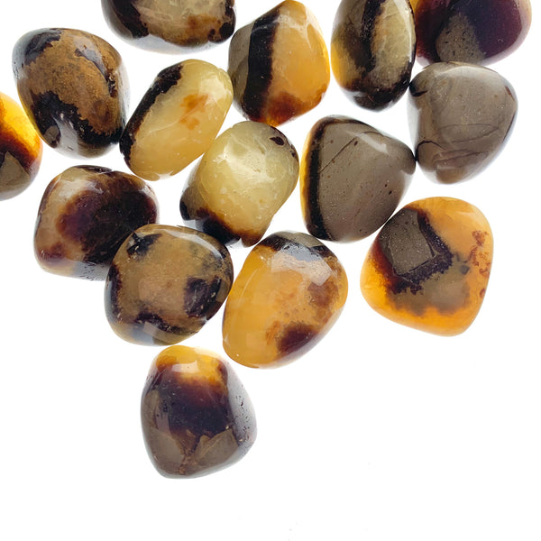 Tumbled Madagascar Septarian Agate