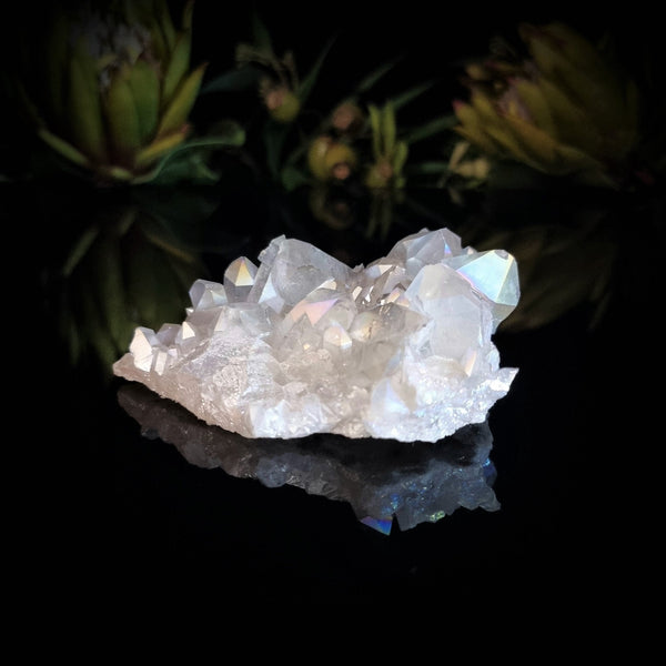 Angel Aura Opal Quartz Cluster