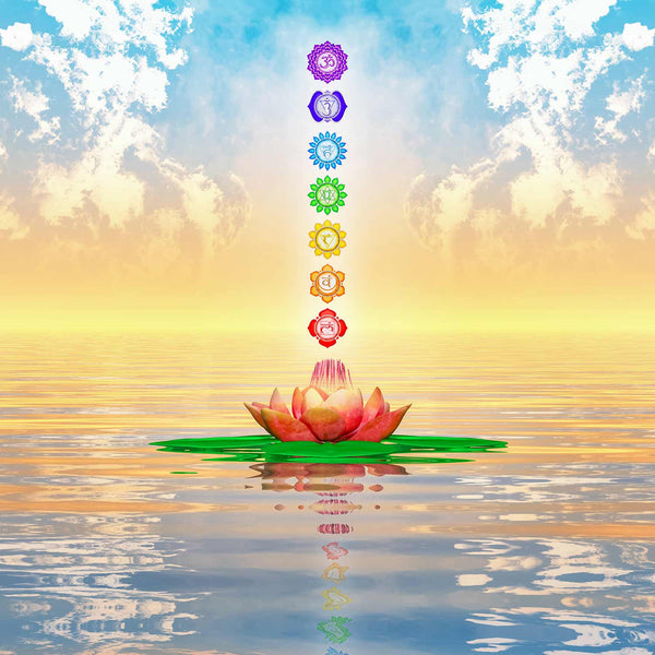 Chakra Balancing & Alignment Event Saturday, February 16, 2019 (Millburn, NJ)