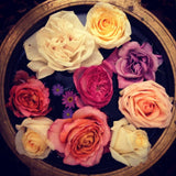 Chakra Balancing & Alignment Event Saturday, February 16, 2019 (Millburn, NJ)