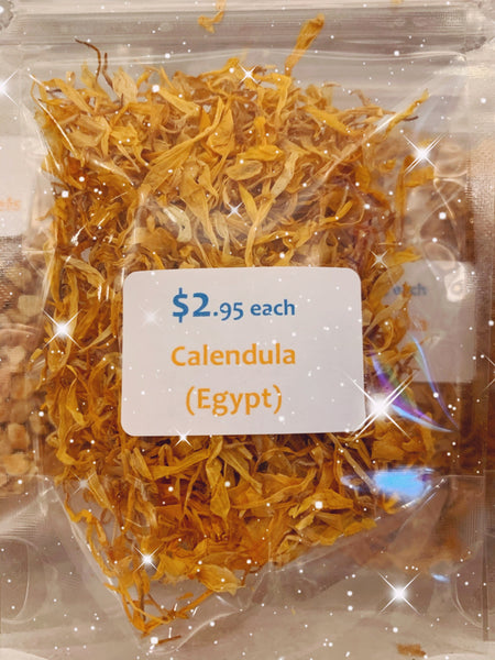 Egyptian Calendula Flower Herb