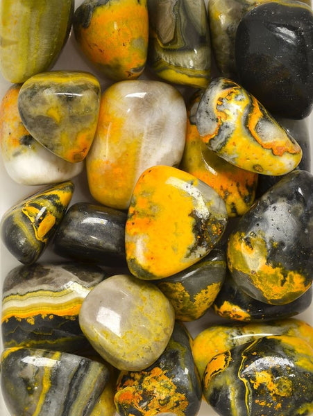 Tumbled Bumblebee Jasper