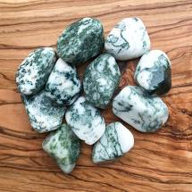 Tumbled Tree Agate