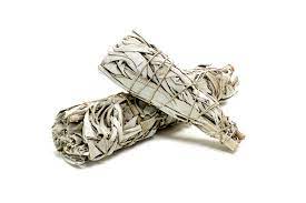 Small White Sage Bundle